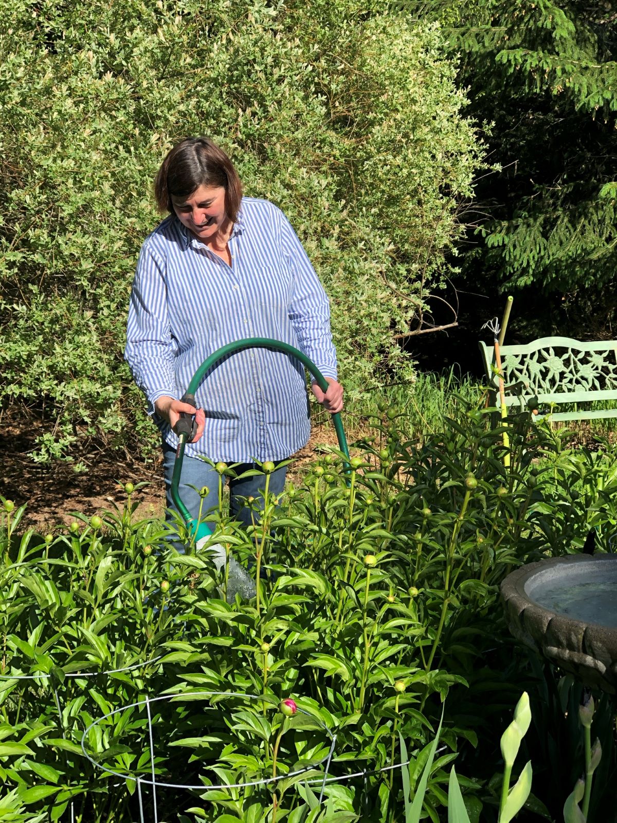 Céline Arseneault dans son jardin
