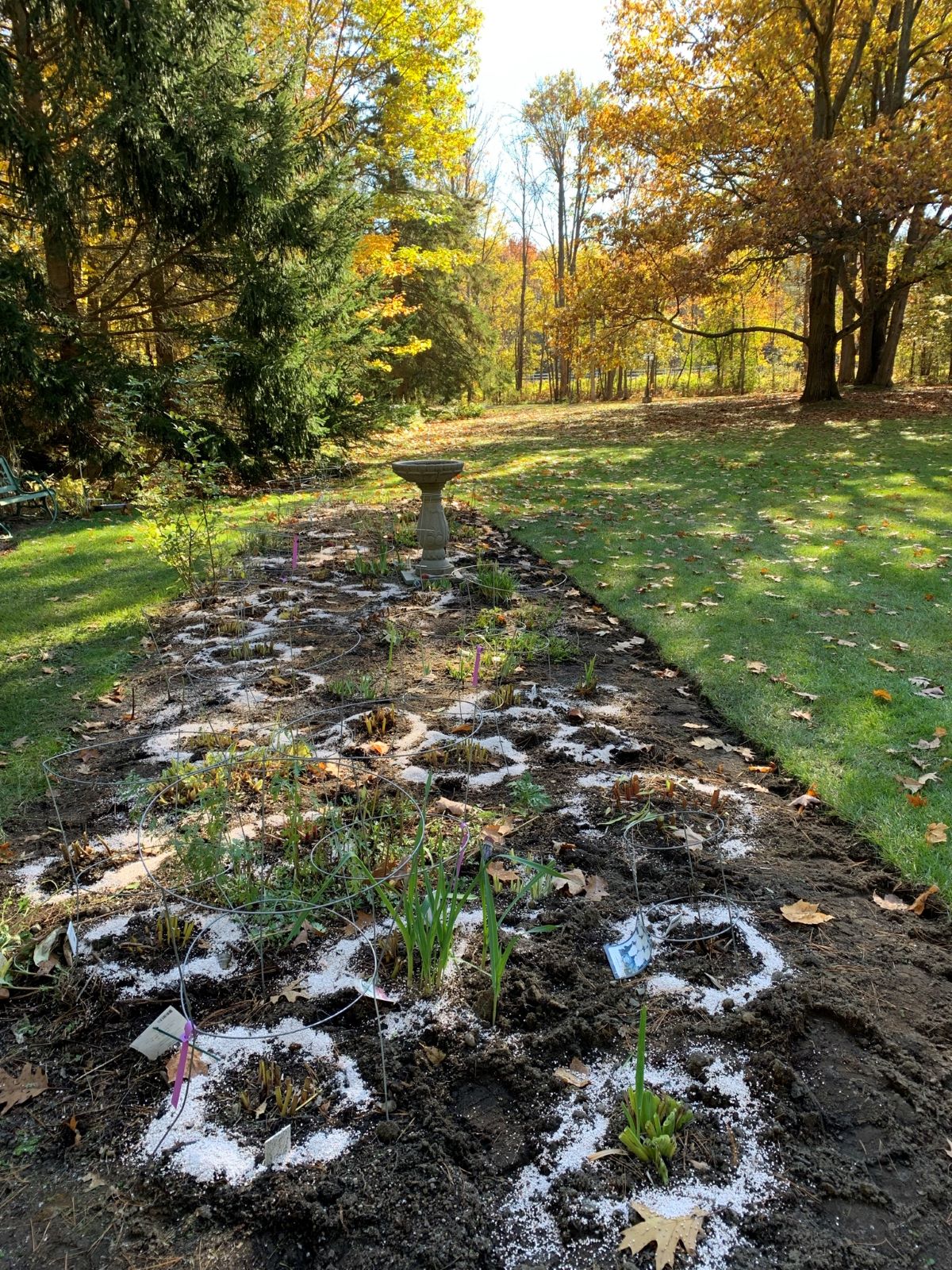 Plate-bande à l'automne. Jardin de Céline Arseneault