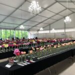 Image du Grand Bal des pivoines 2022 sous le chapiteau