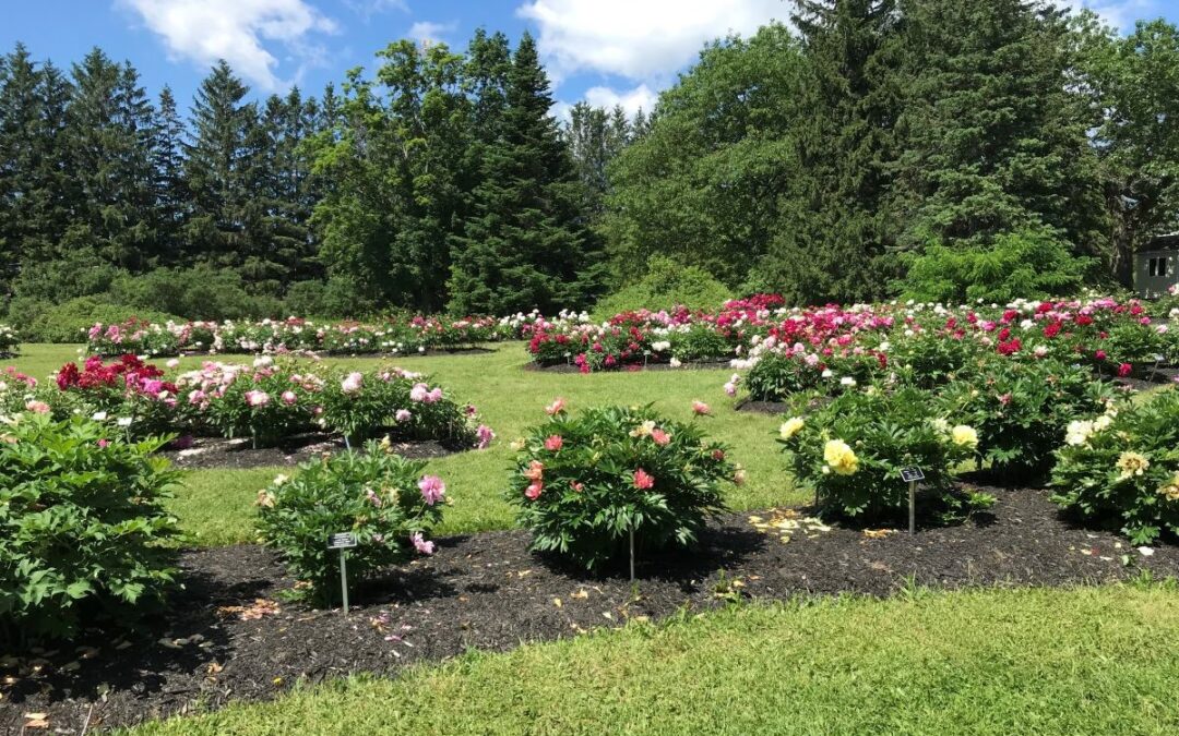 Visite au Jardin universitaire Roger-Van den Hende 2022