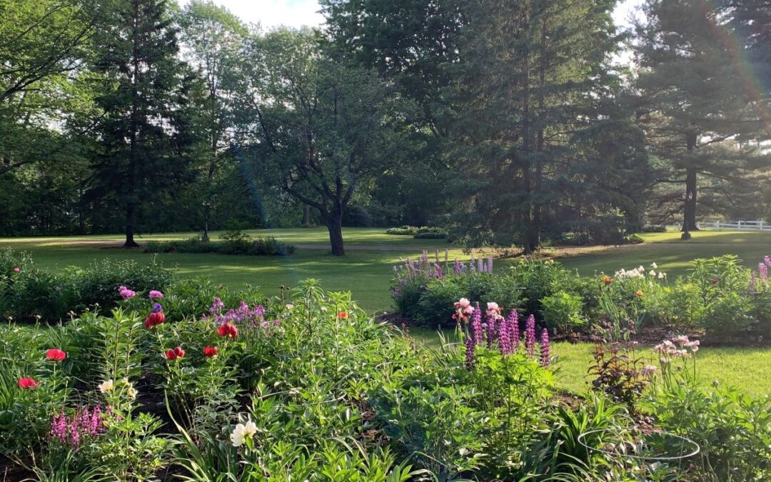 Vue du jardin de Céline Arseneault