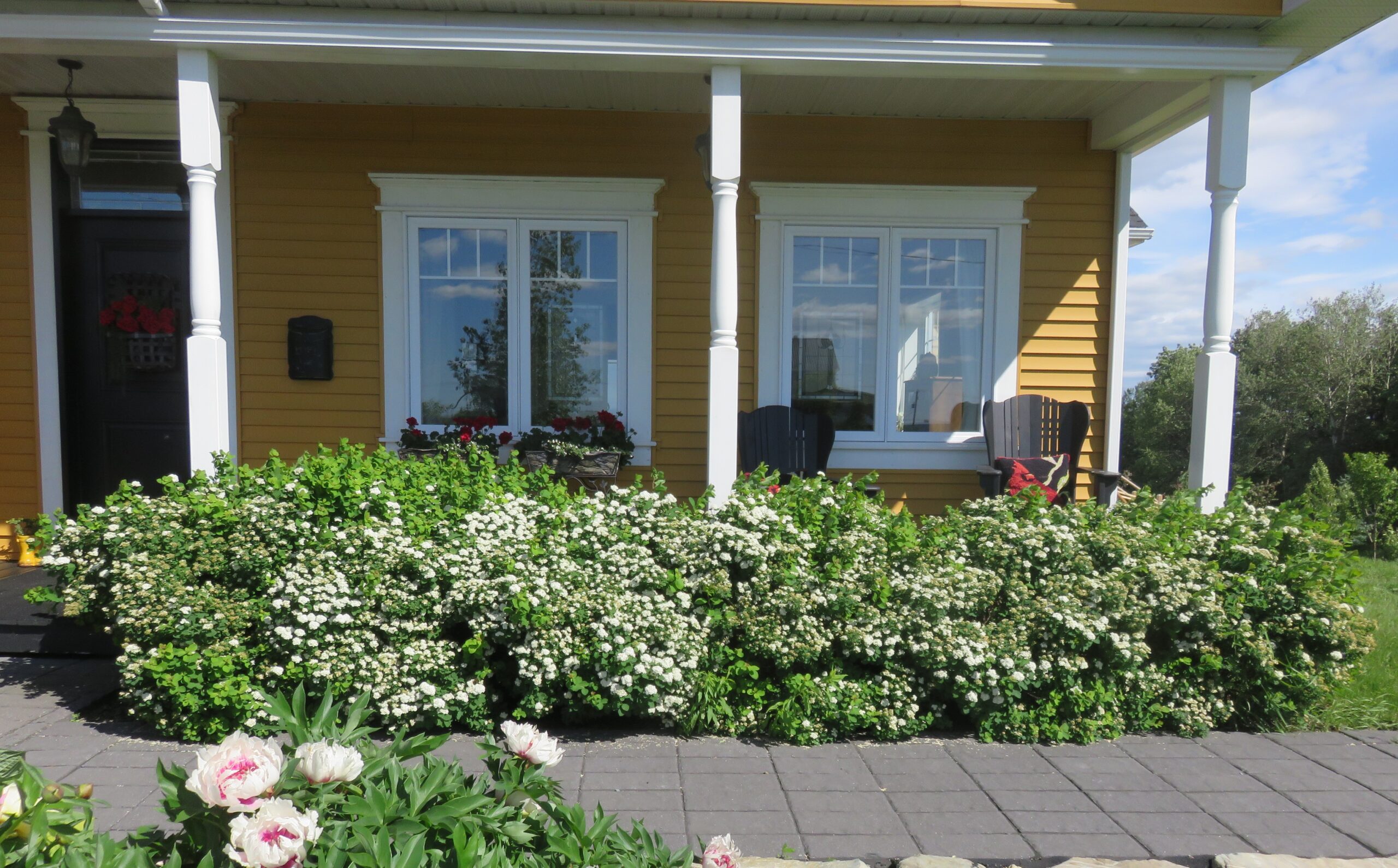 Vue du jardin de Jocelyn et Joanne Leblanc