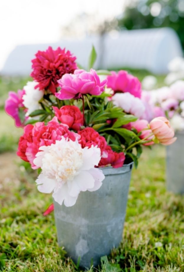 Bouquet de pivoines