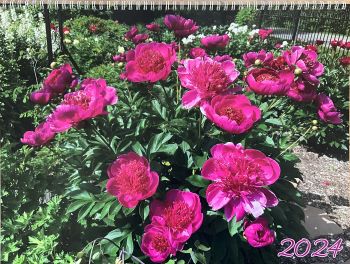 calendrier-sqp-2024-grand-x photo du grand calendrier