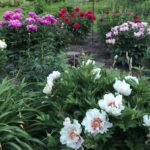Jardin de Lucie Pepin
