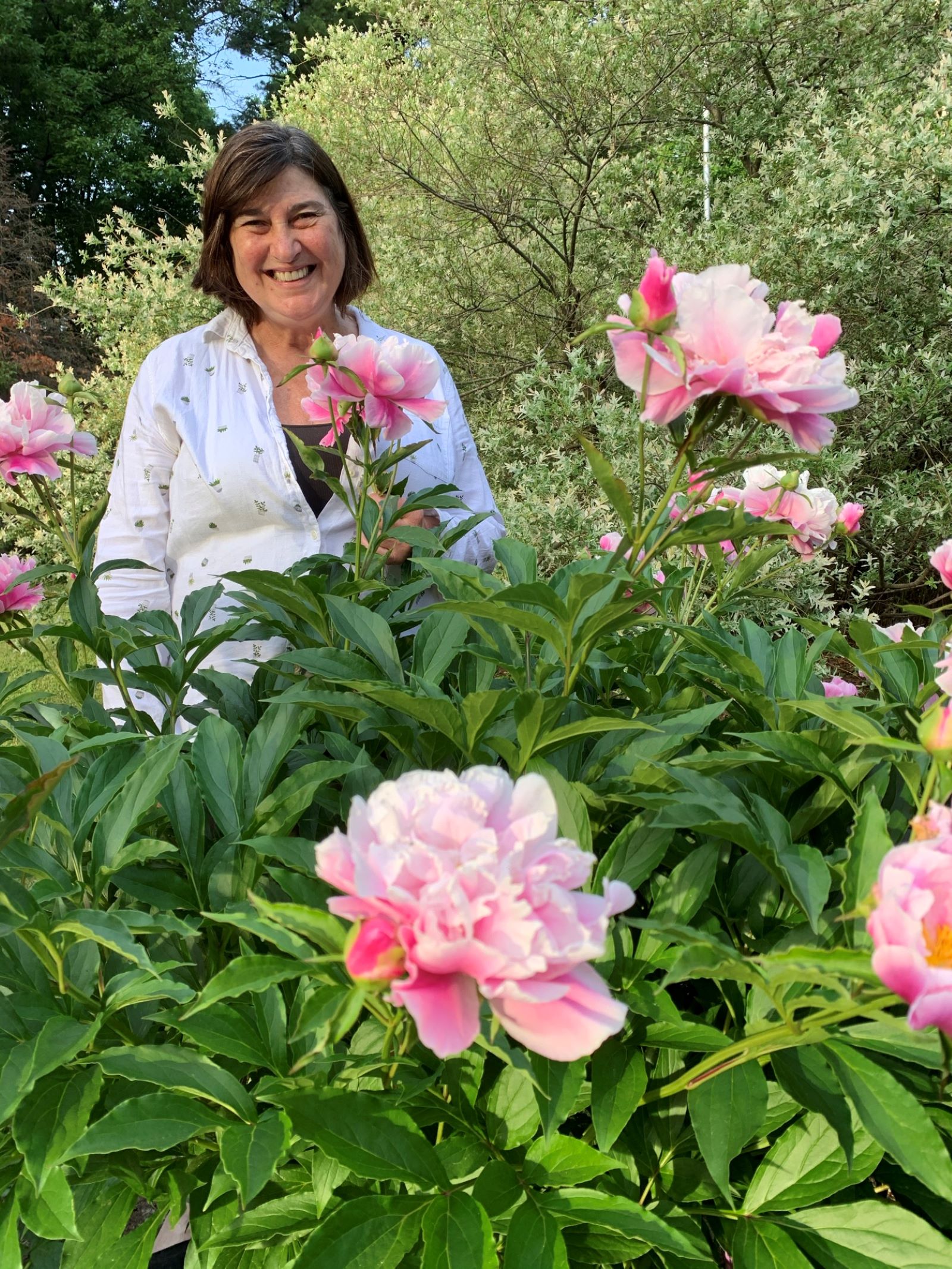 Céline Arseneault et la pivoine 'Jeanne Cayeux'