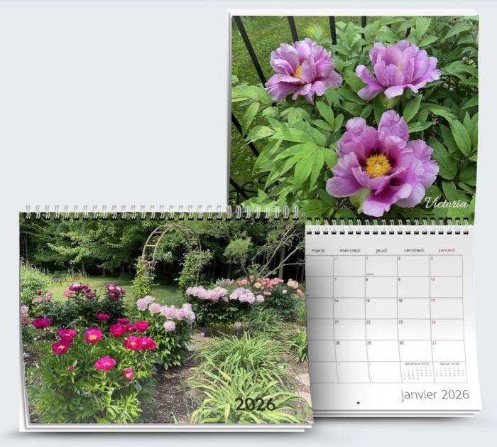 calendrier-sqp-2026 Photo du petit calendrier