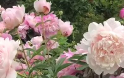 Dates à retenir en 2026