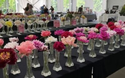 Grand Bal des pivoines 2026