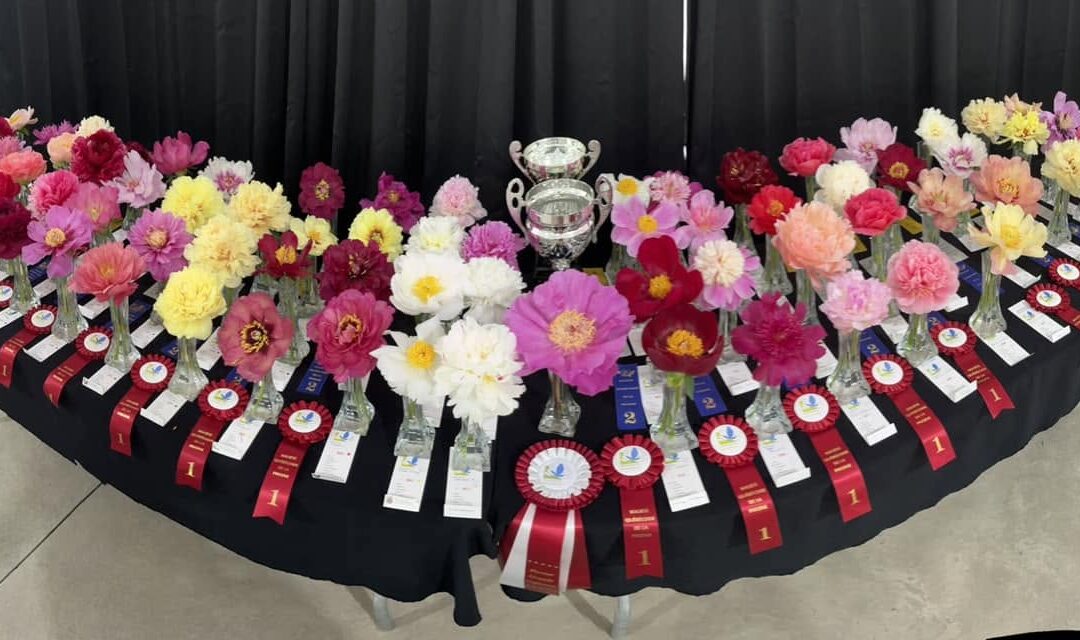 Gagnants – Grand Bal des pivoines 2026