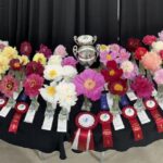 Table d'honneur des gagnants du Grand Bal des pivoines 2026